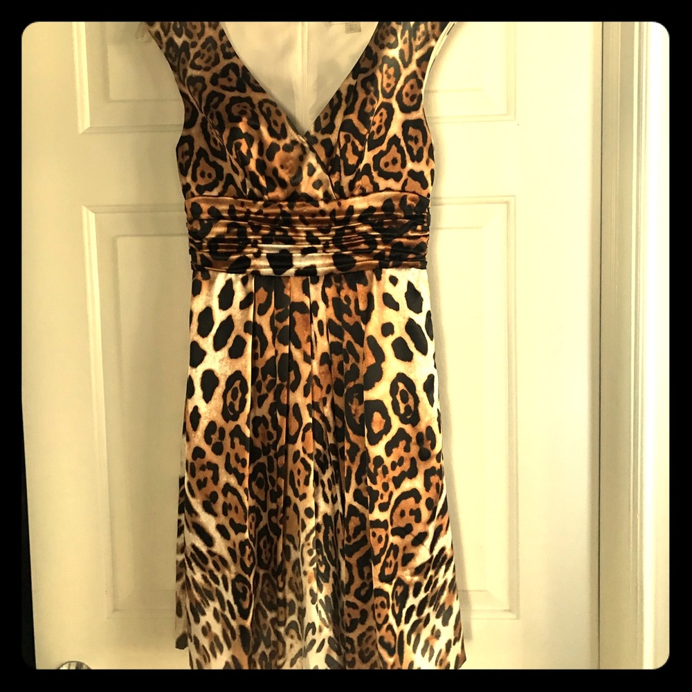 Sassy Animal Print Dress
